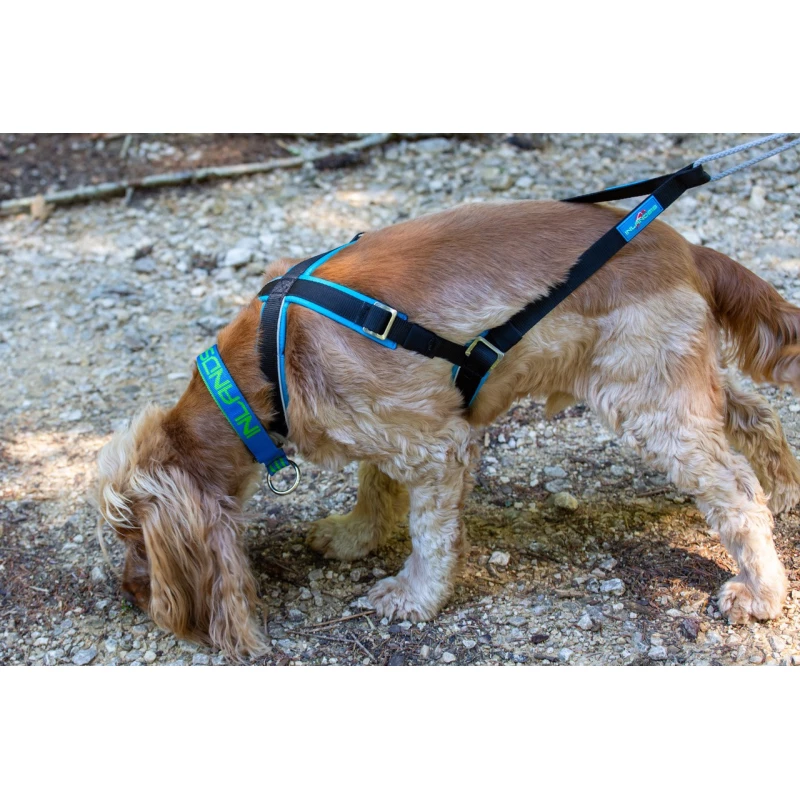 Inlandsis Open-Back harnais canicross petits chiens