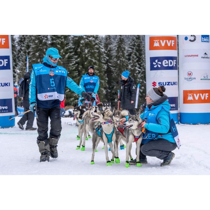 Canicross Harnais X back de ski-vélo-course pour chien Bleu